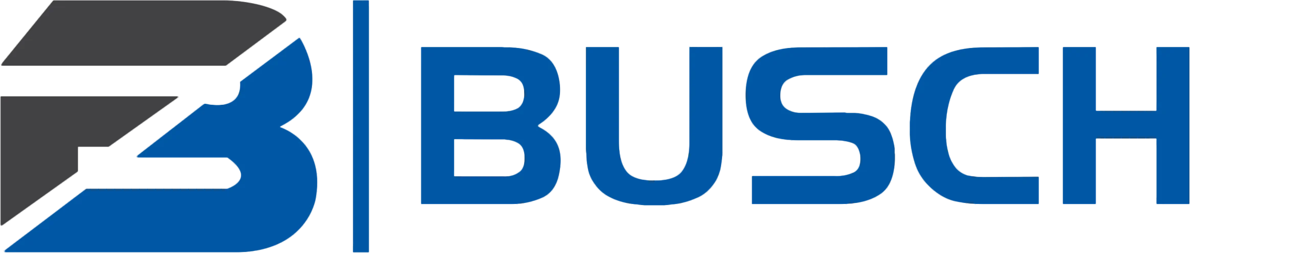 Heidelberg Logo